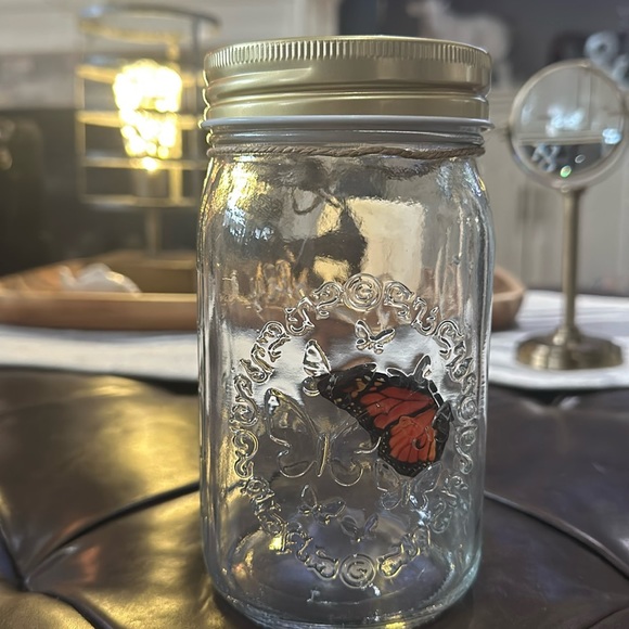 Butterfly Collection, Pink Butterfly & Multi-Colored Butterfly in a Jar! - Picture 7 of 13